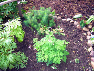 Similar image 21817157