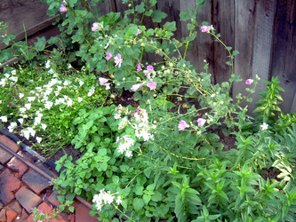 Similar image 21817158