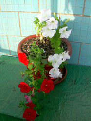 Similar image 21817161