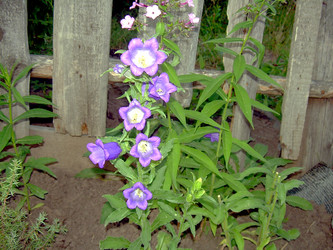 Similar image 21817163