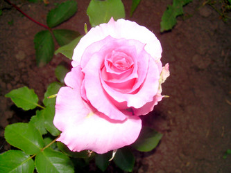 Similar image 21817166