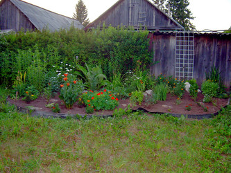 Similar image 21817167