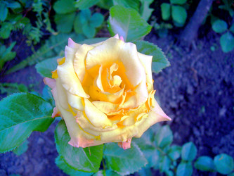 Similar image 21817168