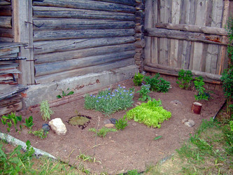 Similar image 21817169