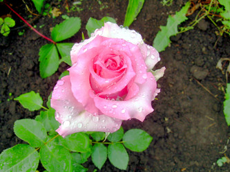 Similar image 21817172