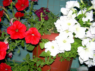 Similar image 21817173