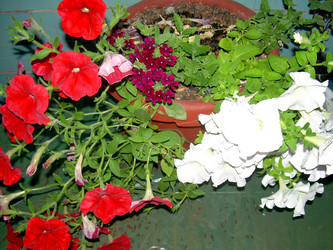 Similar image 21817174