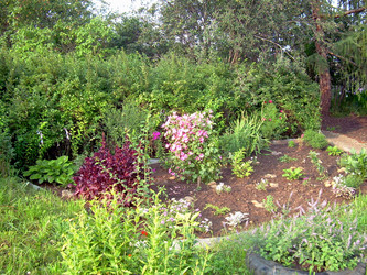 Similar image 21817176