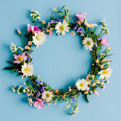 Similar image 21817625