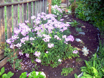 Similar image 21818923