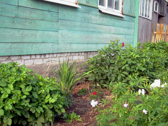 Similar image 21818927