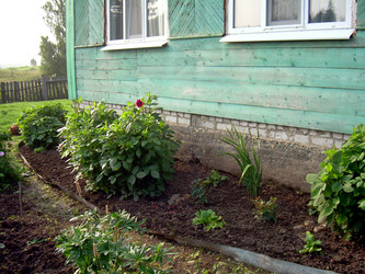 Similar image 21818931