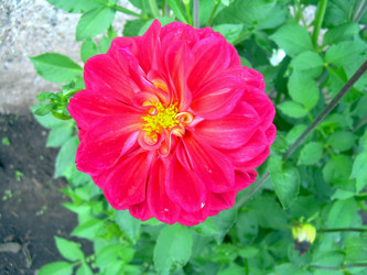 Similar image 21818934