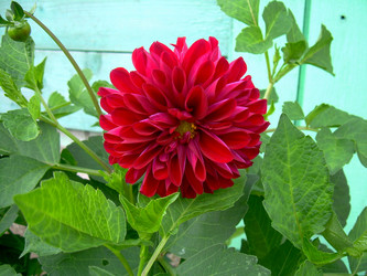 Similar image 21818935