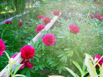 Similar image 21818936