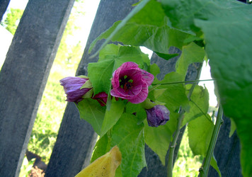 Similar image 21818937