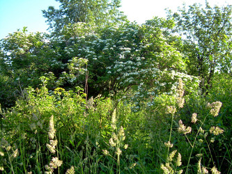 Similar image 21818939