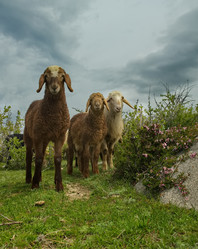 Similar image 21819425