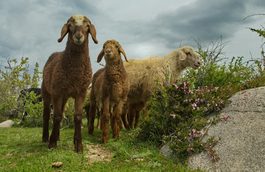 Similar image 21819426