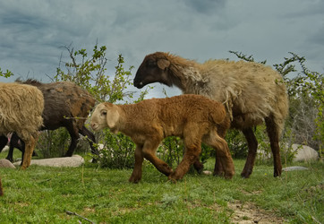 Similar image 21819429