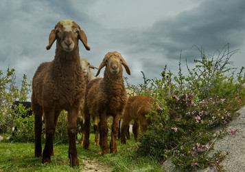 Similar image 21819430