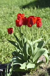 Similar image 21818581