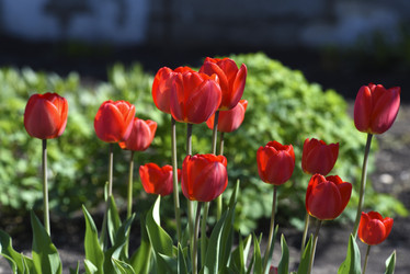 Similar image 21818582