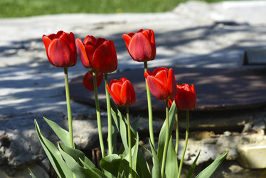 Similar image 21818583