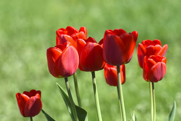 Similar image 21818584