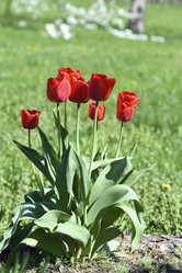 Similar image 21818585