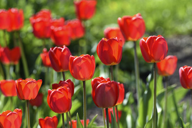 Similar image 21818586