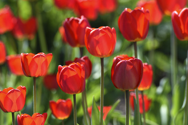 Similar image 21818588