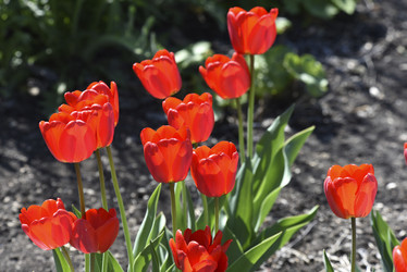 Similar image 21818590