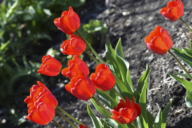 Similar image 21818591