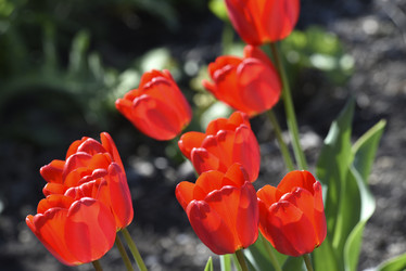 Similar image 21818592