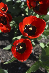 Similar image 21818594