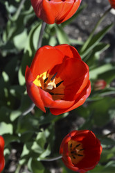 Similar image 21818596