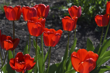 Similar image 21818597