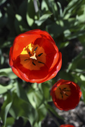 Similar image 21818598