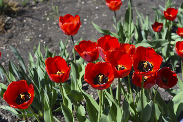 Similar image 21818600