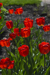 Similar image 21818601