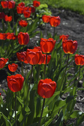 Similar image 21818602