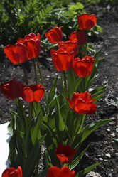 Similar image 21818603