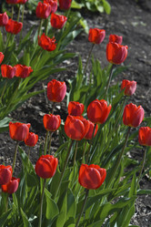 Similar image 21818604