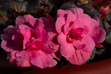 Similar image 21819434