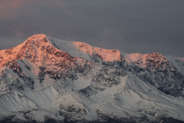 Similar image 21819441