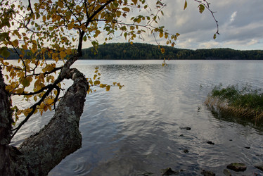 Similar image 21818945