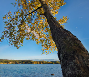 Similar image 21818951