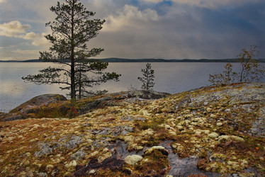 Similar image 21818962