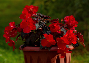 Similar image 21818973